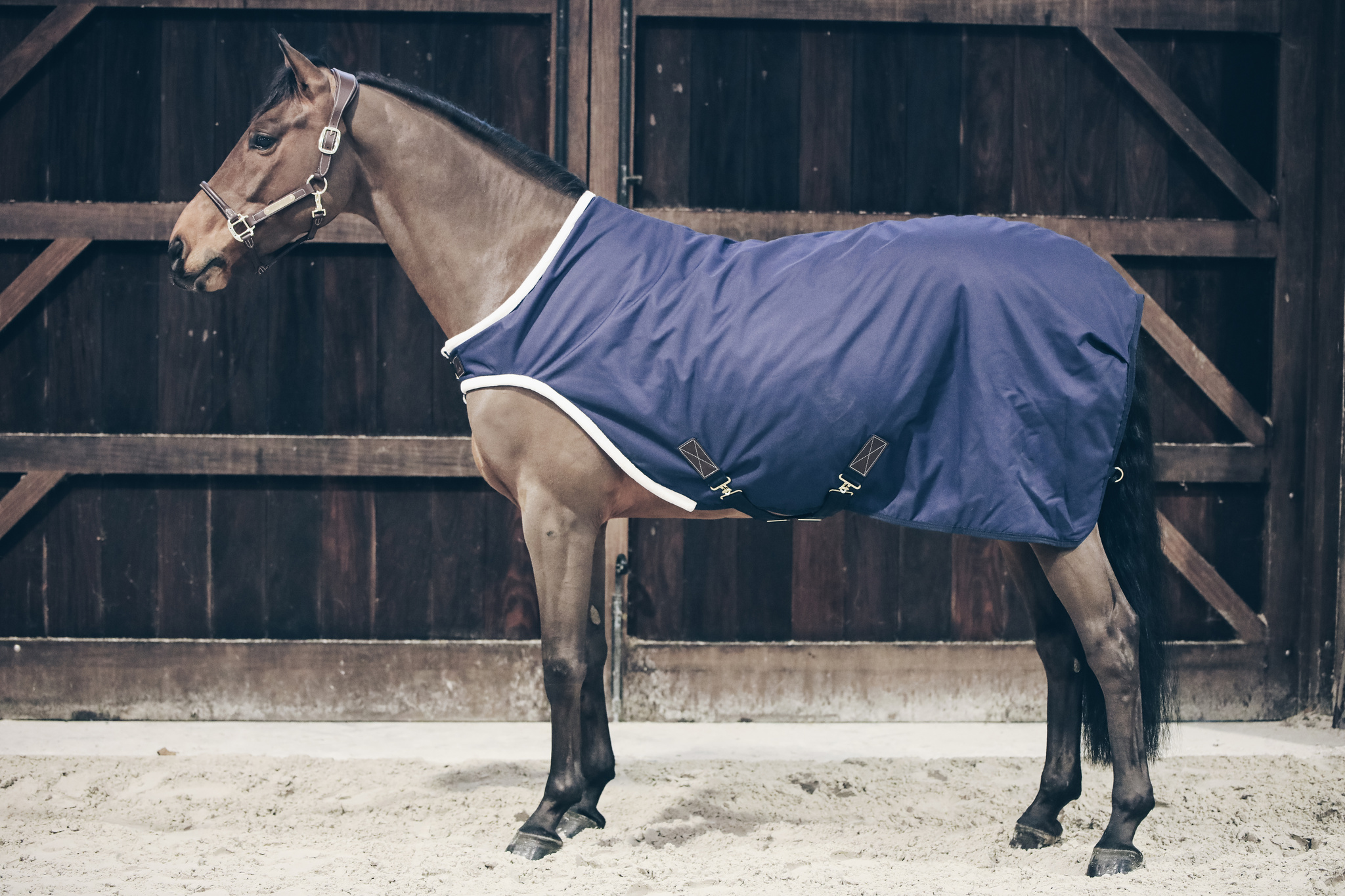 Kentucky Walker Rug Waterproof 155 cm