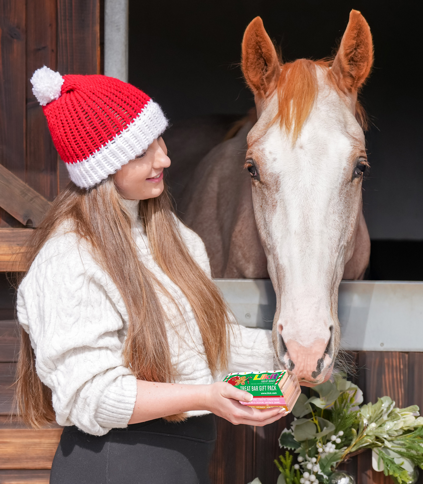 Likit Treat Bar XMas Pak
