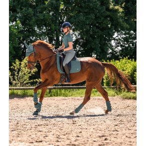 Dressur Underlag Trinidad