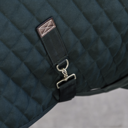 Kentucky Show Rug 160 G