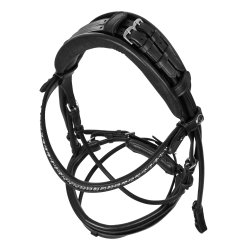 Acavallo Trense Dalila