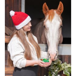 Likit Treat Bar XMas Pak