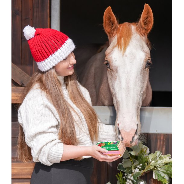 Likit Treat Bar XMas Pak
