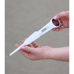 Digital Thermometer