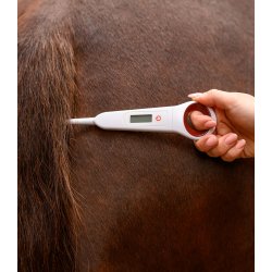 Digital Thermometer