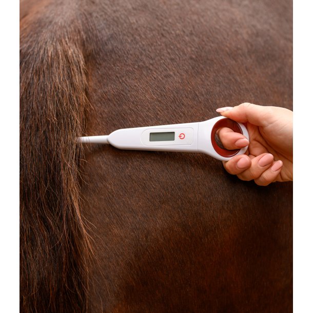 Digital Thermometer