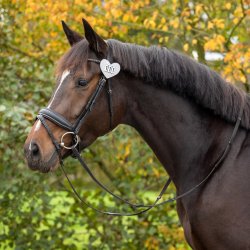 Stvne nummer hjerte glitter