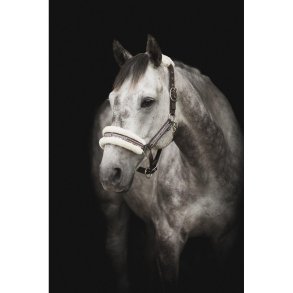 Kllquist grime med plys