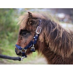 Harrys Horse Flgrime