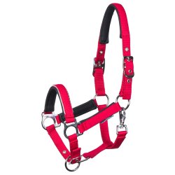 Harry�s Horse F�lgrime 