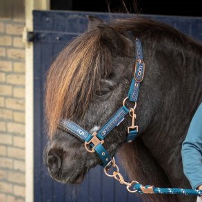 Harry�s Horse grime med tr�ktov 