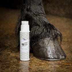 Natural Hoof oil brush bottle 200 ml
