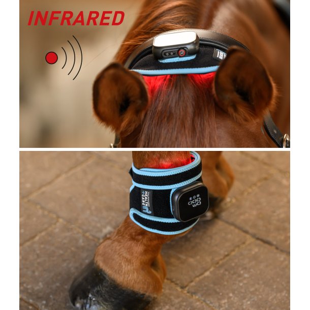 Waldhausen Health + Care Infrared Flexipad