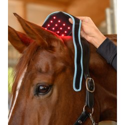 Waldhausen Health + Care Infrared Flexipad