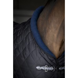 Catago Stald D�kken Denver 300 G 