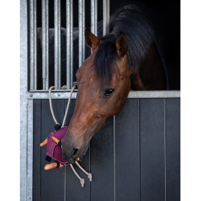 Hesteleget�j  bold med elastiske l�kker til guler�dder