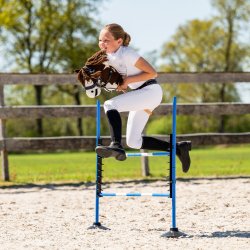 Spring til K�phest