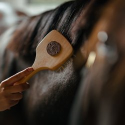 Borstiq farm Man og hale b�rste