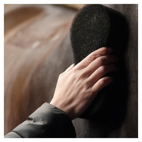 Lamicell Skrubbe svamp