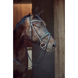 HorseGuard Universal Curve tredelt  2 rings bid