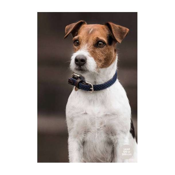 Kentucky Hunde Halsbnd Plaited Nylon Bl