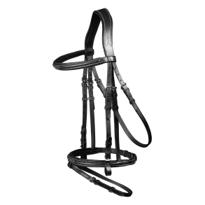 Waldhausen Trense Santander