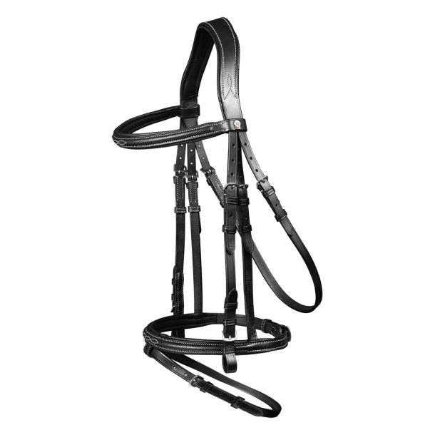 Waldhausen Trense Santander