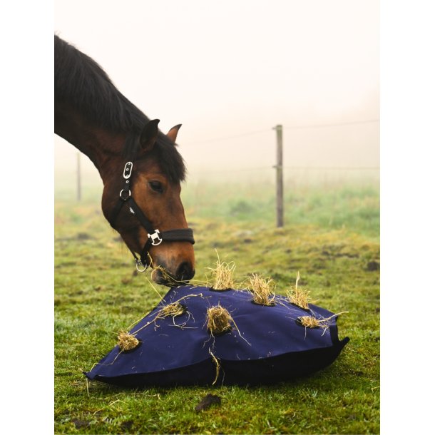 Horse Guard H�pose Navy