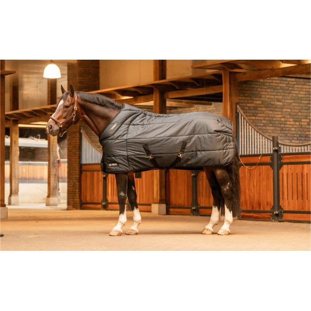 Trust  Tetris Stald d�kken 200 G