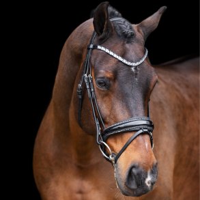 Imperial Trense Olympia