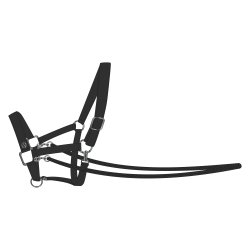 Imperial Grime til Kphest