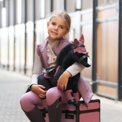 Toy Pony Set 