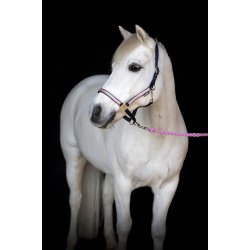 Horse Guard Grime Idaho Navy 