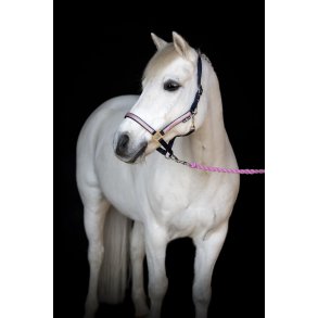 Horse Guard Grime Idaho Navy 