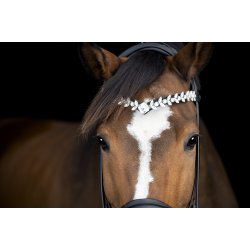 Catago Diamant pandeb�nd Abilene Sort