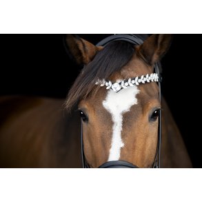 Catago Diamant pandeb�nd Abilene Sort