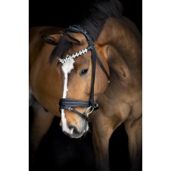 Catago Diamant pandeb�nd Abilene Sort