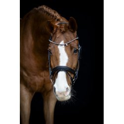 Horse Guard Diamant pandeb�nd Fullerton Sort