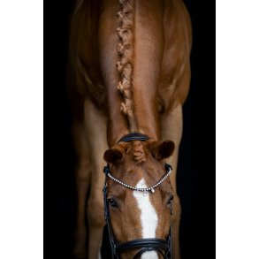 Horse Guard Diamant pandeb�nd Fullerton Sort
