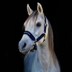 Back On Track Grime Werano 