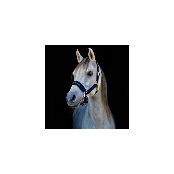 Back On Track Grime Werano 