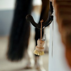 Borstiq hovrenser rund 