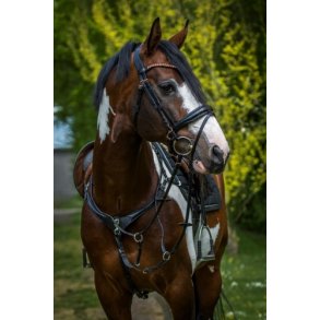 Weber Catina Fortj med martingal