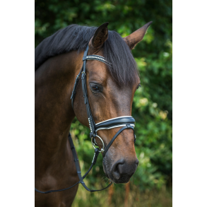 By weber Trense Isabella