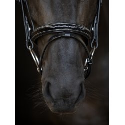 CATAGO Torina Trense