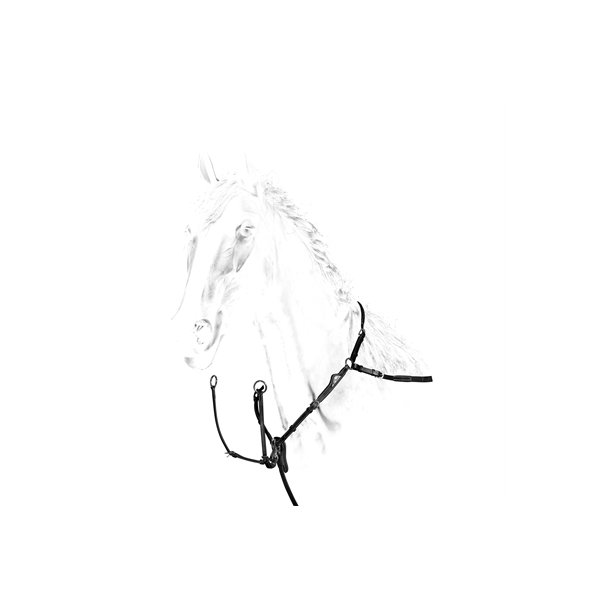 Equiline Fortj med Martingal 