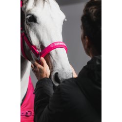 Eskadron grime  softshell Dynamic Pink 