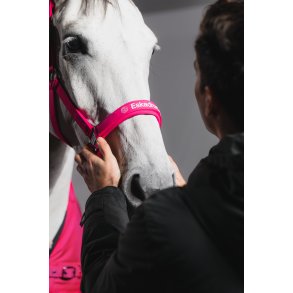 Eskadron grime  softshell Dynamic Pink 