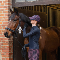 Kingsland Horse Teddy Monty