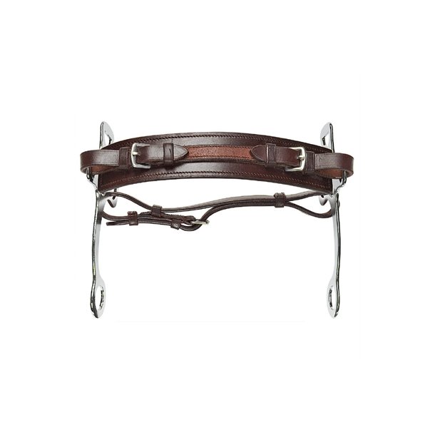 Hackamore